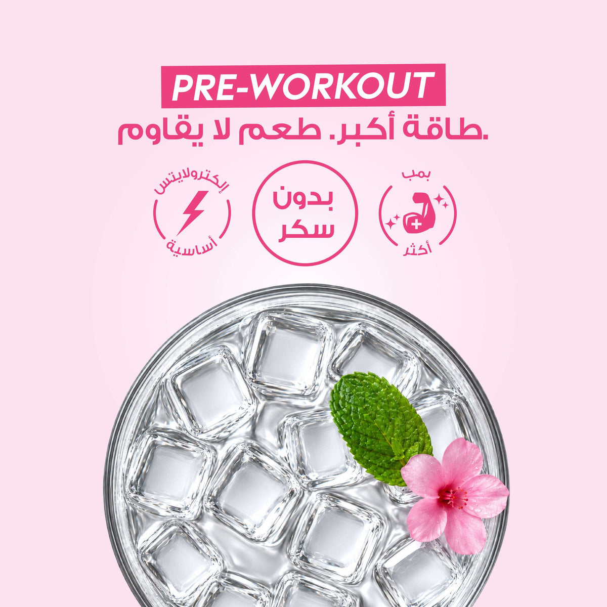 [AR] Preworkout 07