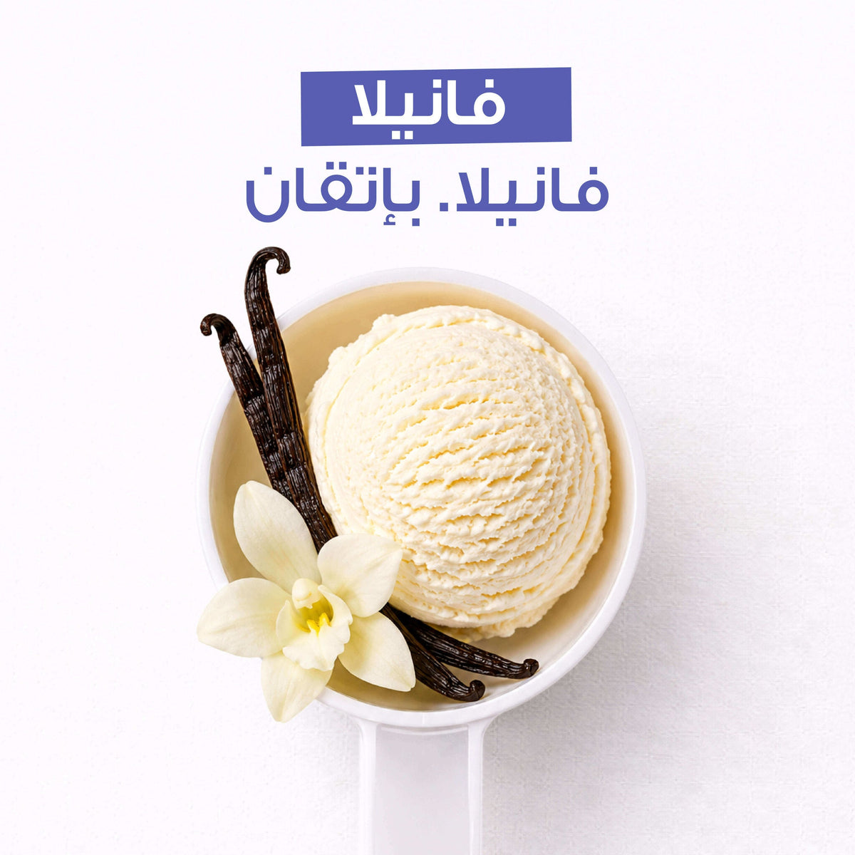 [AR] Whey 10 |variant:48552067924282